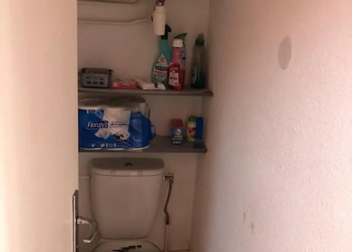 Calme Climatise Avec Parking Proche Centre Et Pour 4 Pers - Fr-1-607-234 *