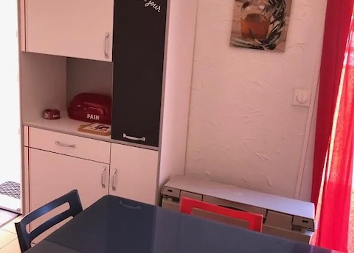 Calme Climatise Avec Parking Proche Centre Et Pour 4 Pers - Fr-1-607-234 Apartamento Agde